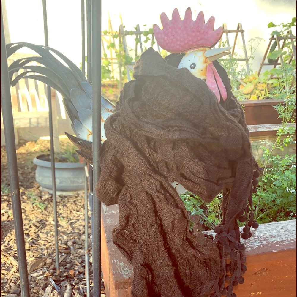 Espresso ruffled scarf